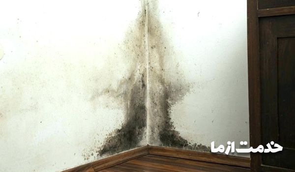 نم دیوار خانه - علت رطوبت خانه در زمستان