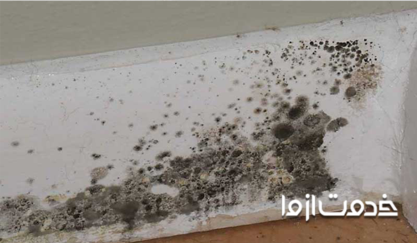 رفع نم دیوار بدون تخریب