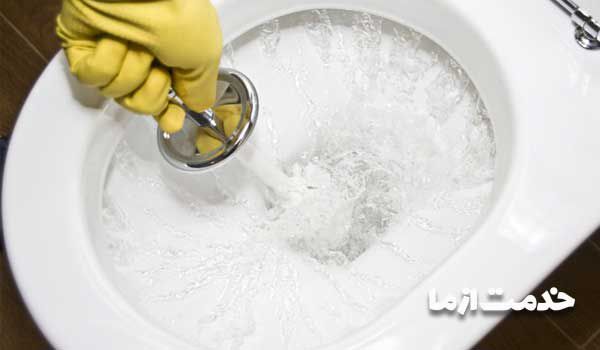 دلایل عدم تخلیه توالت فرنگی