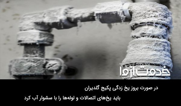 ارور e4 پکیج گلدیران