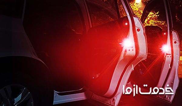 چراغ داخل درب خودرو