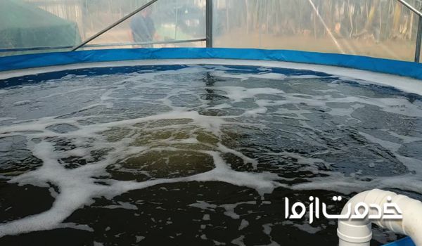 تصفیه آب استخر پرورش ماهی