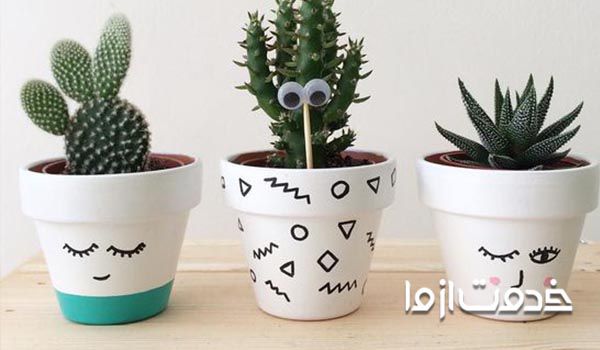 نگهداری کاکتوس در خانه 