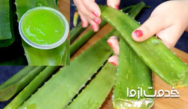 طرز تهیه ژل آلوورا خوراکی  ژل آلوورا برای صورت  خرید ژل آلوورا  ژل آلوئه ورا سینره