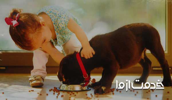 حیوان خانگی بی دردسر  بهترین حیوان خانگی برای کودکان  باهوش ترین حیوان خانگی