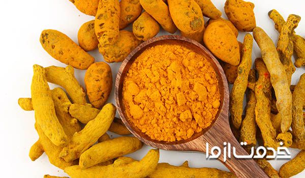 لیکن پلان مویی