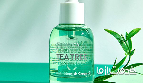 لیکن پلان تناسلی