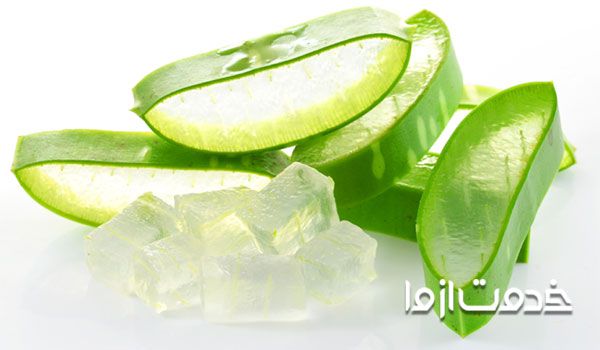مهمترین خواص آلوورا برای پوست که معجزه می کند