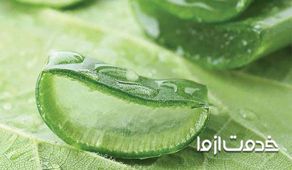 طرز استفاده از آلوورا برای پوست صورت