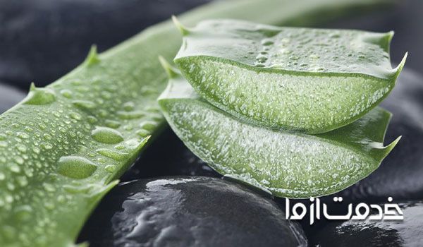ژل آلوورا یا ژل آلوئه ورا را چطور درست کنیم؟ خواص آلوورا برای پوست و مو