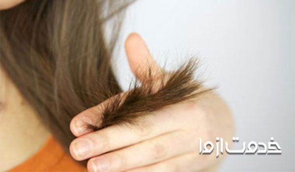 رفع مو خوره با روغن زیتون