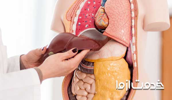 عوارض کبد چرب چیست؟ بهترین داروی کبد چرب چیست؟ نشانه های کبد چرب 