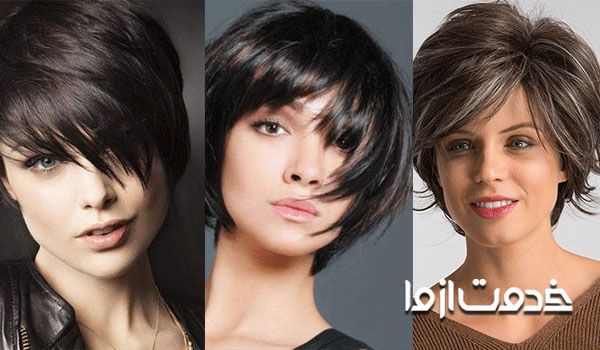 تفاوت بین آمبره و سامبره موی کوتاه