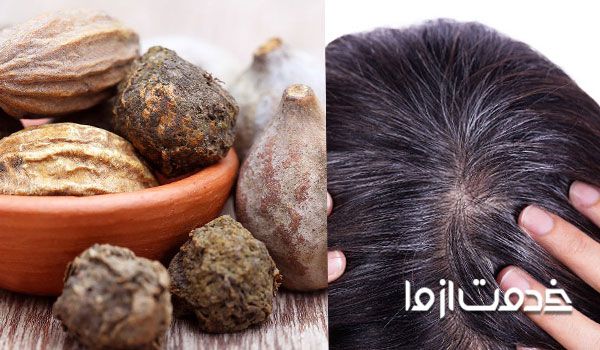 هلیله سیاه و رفع سفیدی مو