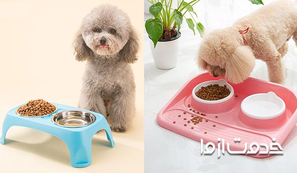 لیست غذاهای مفید برای سگ خانگی