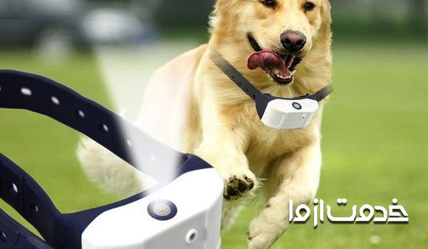 داروی ضد پارس سگ