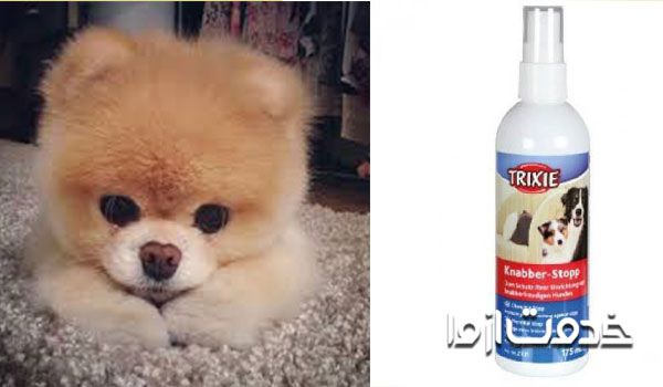 اسپری ضد پارس سگ