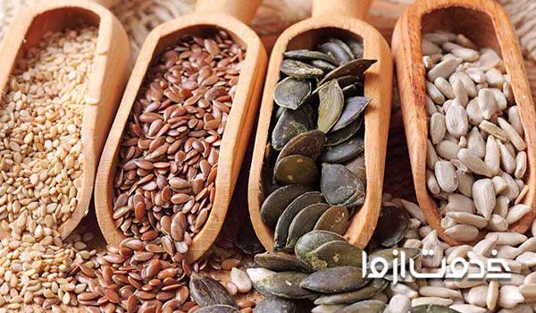 غذای اصلی طوطی - رژیم غذایی سالم برای طوطی 