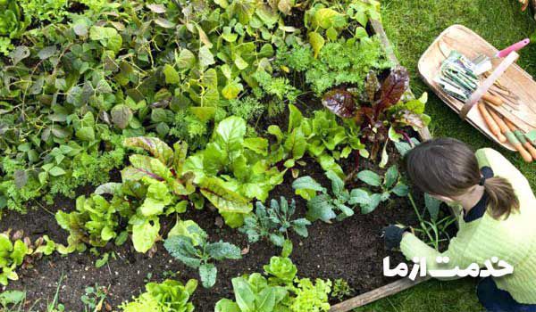 خدمات باغبانی منازل