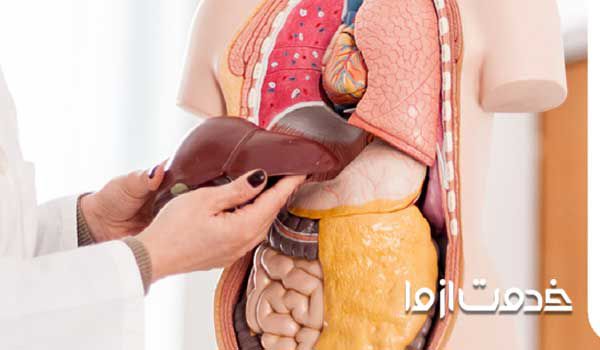 علائم کبد چرب در زنان  عوارض کبد چرب چیست