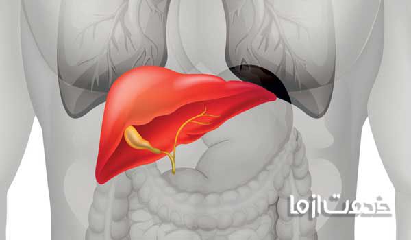 کبد چرب علائم کبد چرب در زنان علائم کبد چرب حاد علاعم کبد چرب عوارض کبد چرب عوارض کبد چرب روی پوست علایم کبد چرب