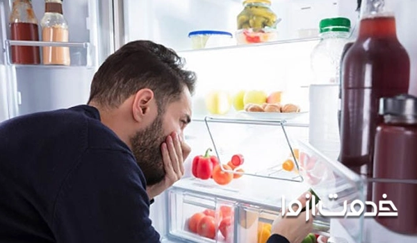 رفع بوی بد یخچال