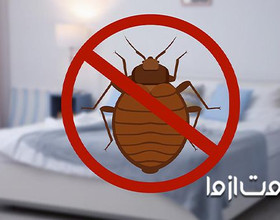 25 راه ساده برای از بین بردن ساس