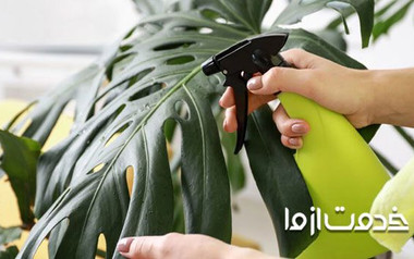 تهیه آفت کش های خانگی