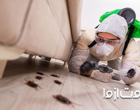 همه چیز درباره ی سمپاشی سوسک
