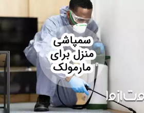 سم پاشی منزل برای مارمولک