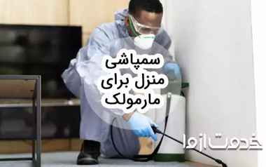 سم پاشی منزل برای مارمولک