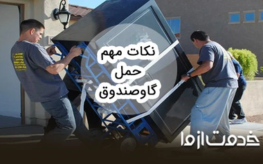 نکات مهم حمل گاوصندوق