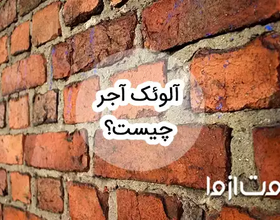 آلوئک آجر چیست و چطور می‌توان با آن مقابله کرد؟