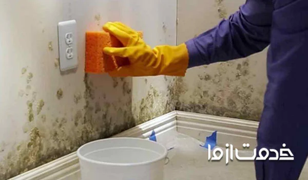 چگونه بلکا را از دیوار جدا کنیم؟
