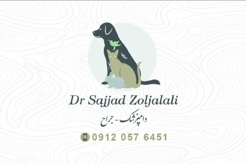 provider user card avatar