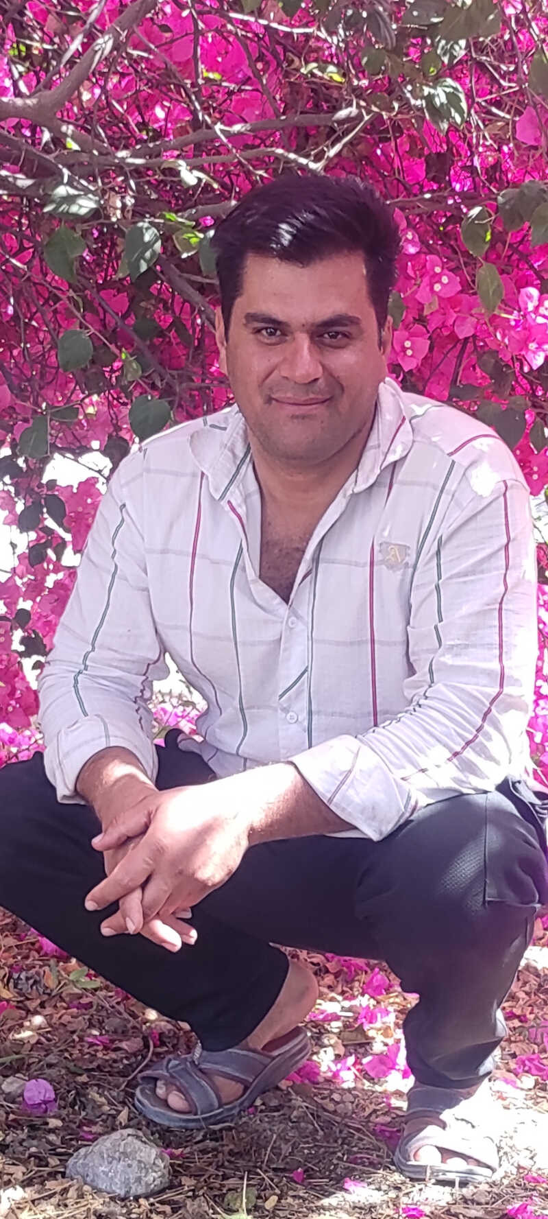 حمید حاجی زاده عسکری