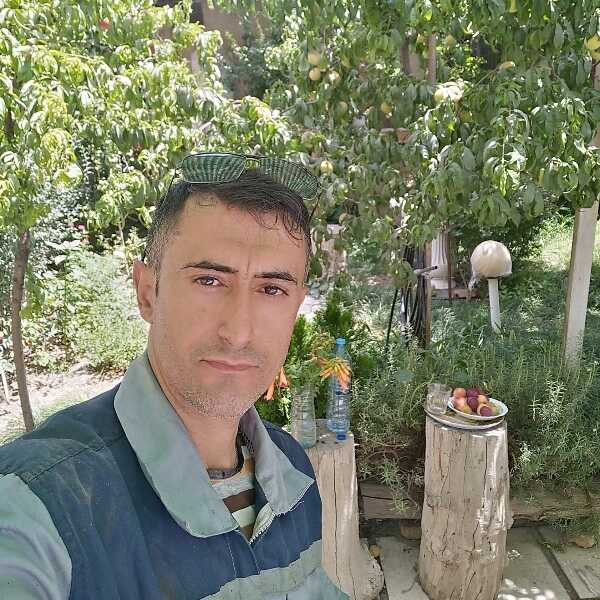 لطیف تقی زاده