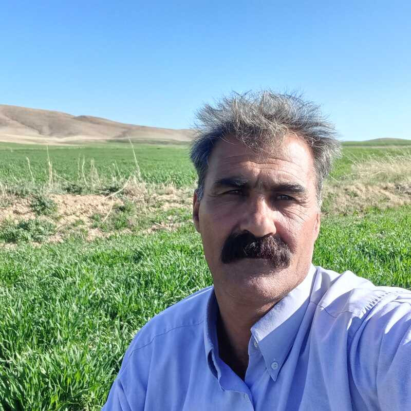 ناصر پیرهادی