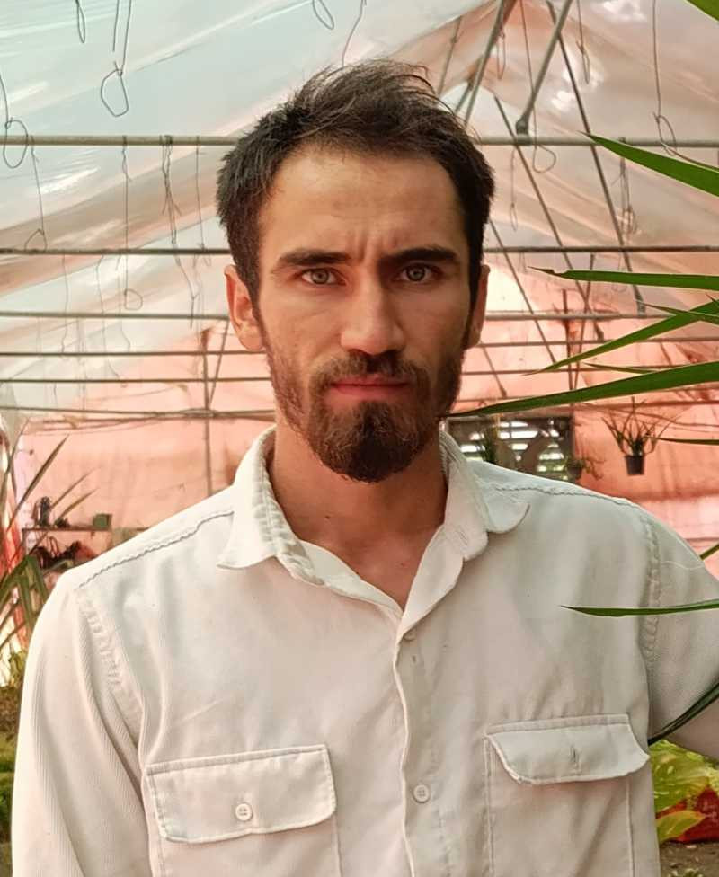 گلسرای باغ بهشت