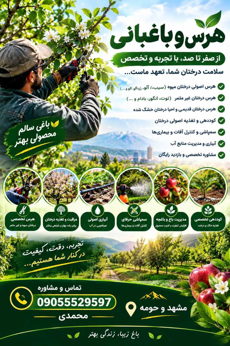 مسعود محمدی