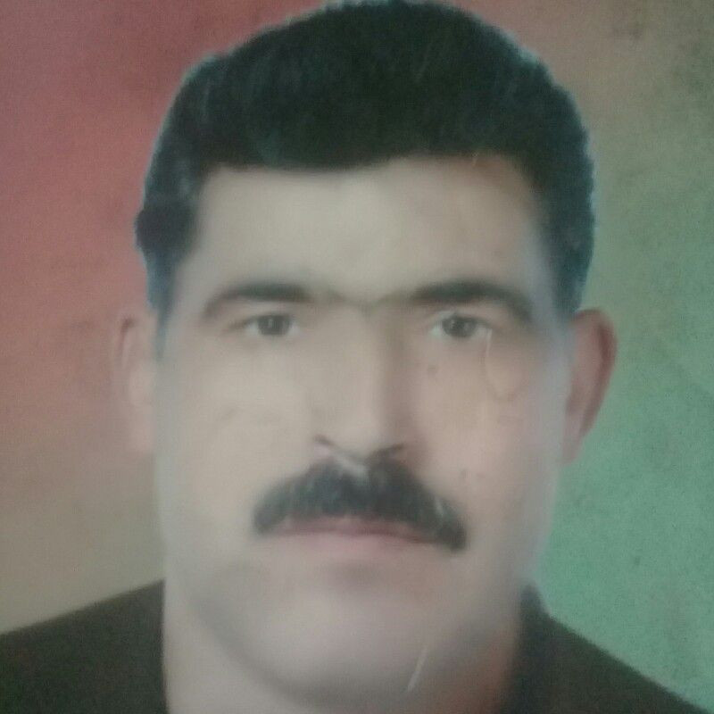 شیرولی سعیدی نیا