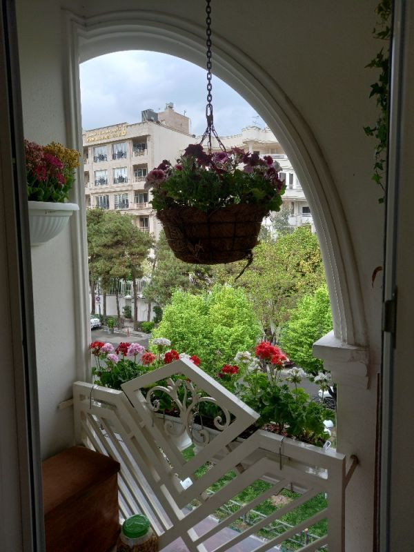 کامران الماسی