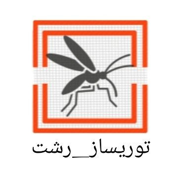 سید امین علیزاده