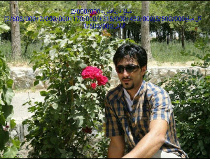 provider user card avatar