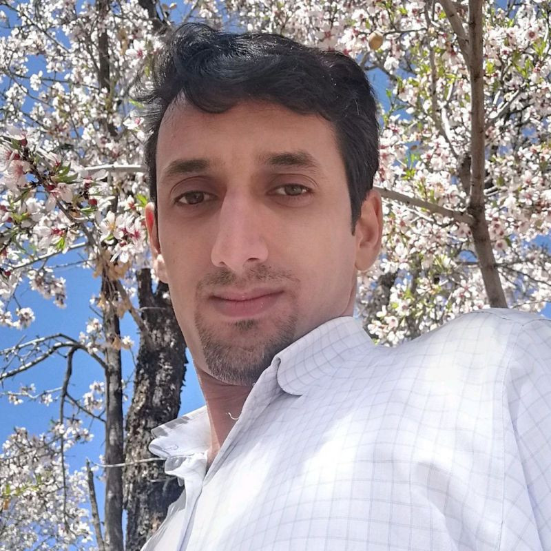 سید محسن فاطمی