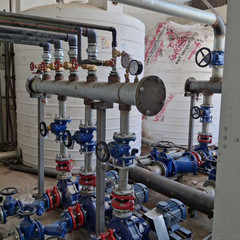 resume image