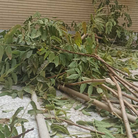 نمونه کار حسین فلاحی - 3
