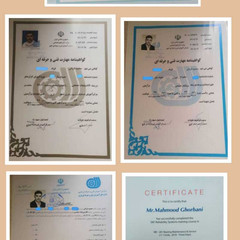 resume image