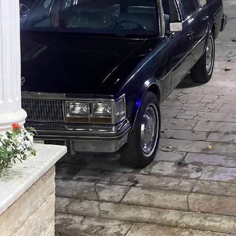 نمونه کار مهدی سعیدی - 2