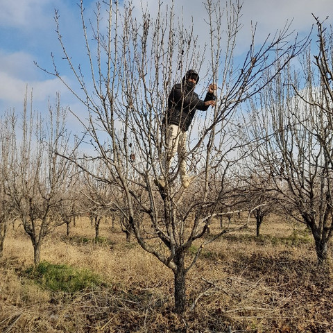 نمونه کار مسعود محمدی - 3